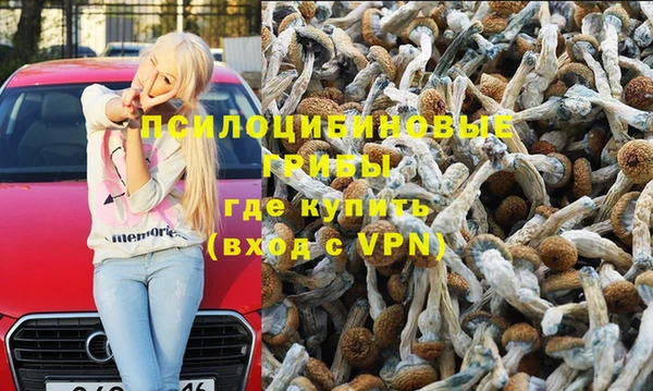 стафф Баксан