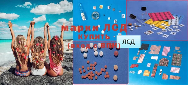 прущие грибы Балабаново